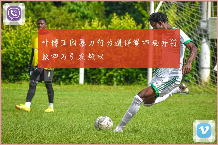 叶博亚因暴力行为遭停赛四场并罚款四万引发热议