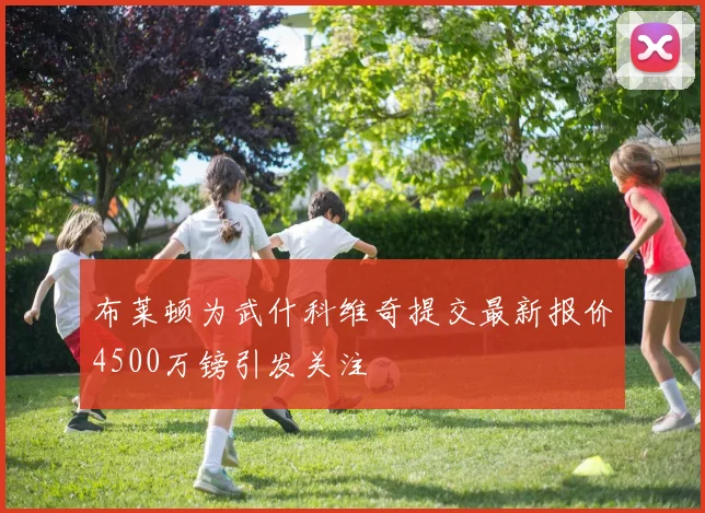布莱顿为武什科维奇提交最新报价4500万镑引发关注