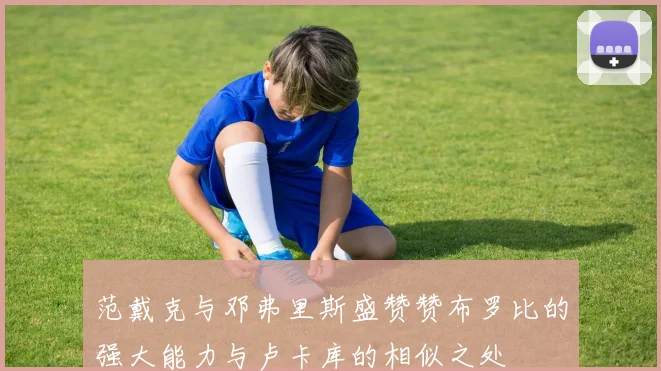 范戴克与邓弗里斯盛赞赞布罗比的强大能力与卢卡库的相似之处